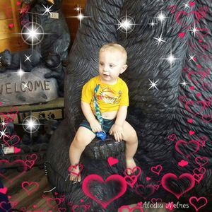 Meet your Posher, Amy